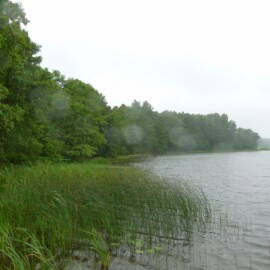 Goloneczki nad jeziorem – Wólka