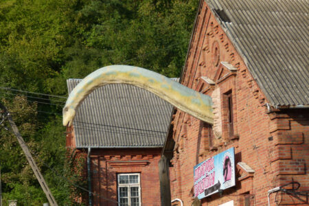 Kurozwęki i Bałtów od kukurydzy do dinozaurów – Kurozwęki