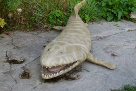 Kurozwęki i Bałtów od kukurydzy do dinozaurów – Kurozwęki
