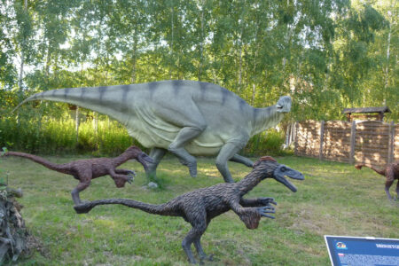 Kurozwęki i Bałtów od kukurydzy do dinozaurów – Kurozwęki