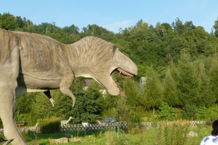 Kurozwęki i Bałtów od kukurydzy do dinozaurów – Kurozwęki