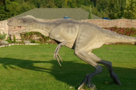 Kurozwęki i Bałtów od kukurydzy do dinozaurów – Kurozwęki