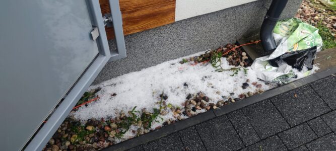 nieszczęście w ogródku – Książenice