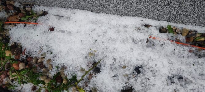 nieszczęście w ogródku – Książenice