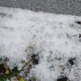 nieszczęście w ogródku – Książenice