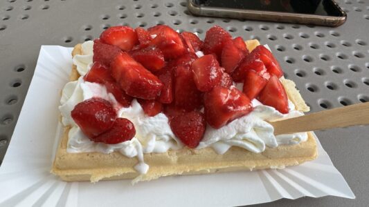 Majówkowo – Kąty Rybackie